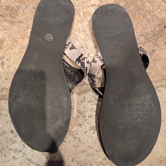 Tory Burch Cameron flip flops Leather Thong Sandals Snakeskin Roccia Python 7.5 - Picture 3 of 4